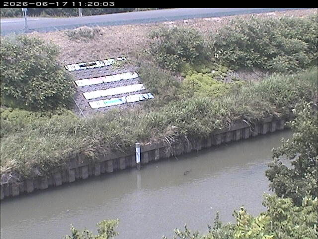 大路川１2026/06/17 12:00:00