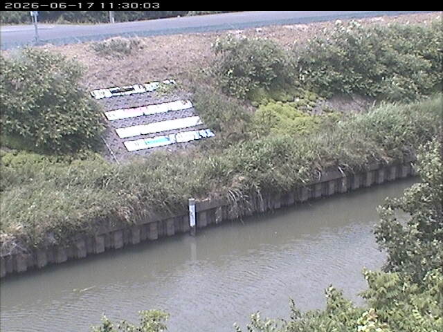 大路川１2026/06/17 12:00:00