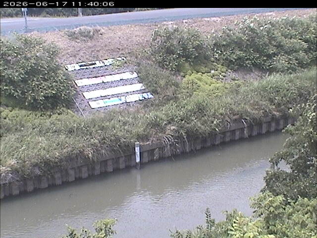 大路川１2026/06/17 12:00:00
