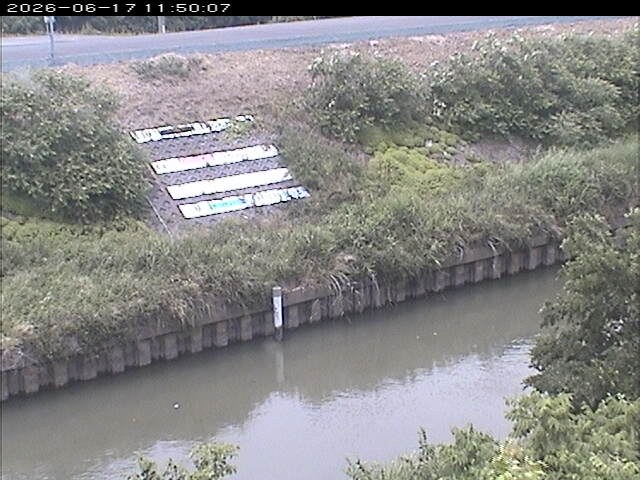 大路川１2026/06/17 12:00:00