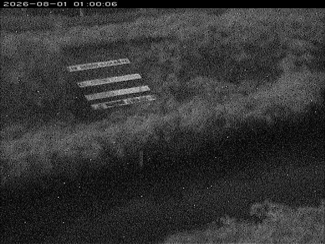 大路川１2026/08/01 20:50:00