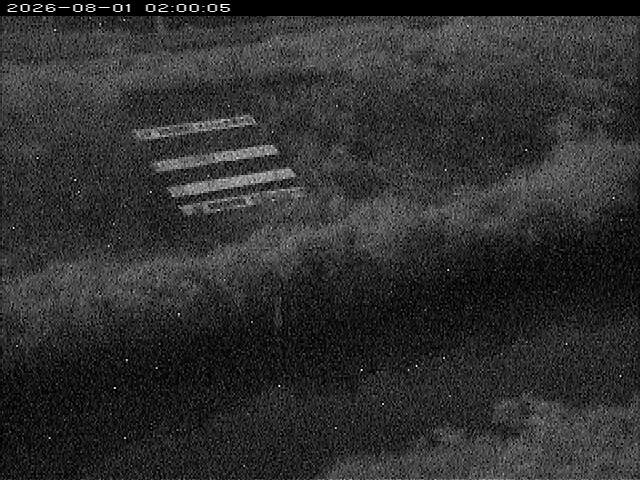 大路川１2026/08/01 20:50:00