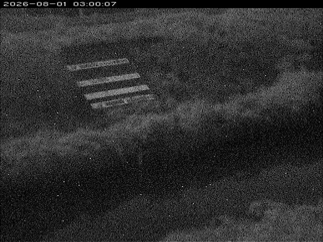 大路川１2026/08/01 20:50:00