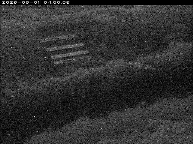 大路川１2026/08/01 20:50:00