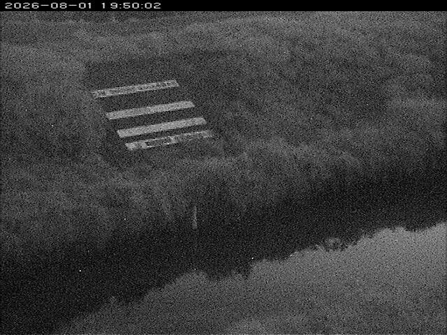 大路川１2026/08/01 20:50:00