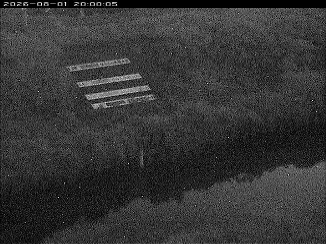 大路川１2026/08/01 20:50:00
