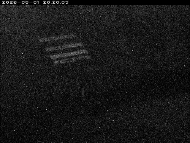 大路川１2026/08/01 20:50:00