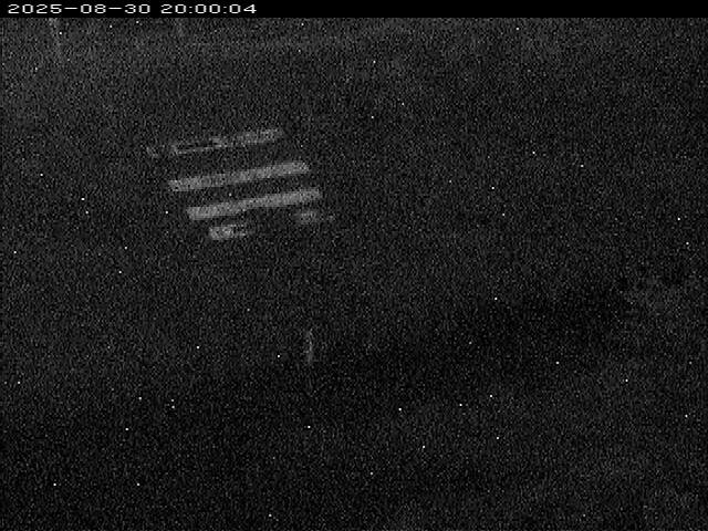 大路川１2025/08/31 9:00:00