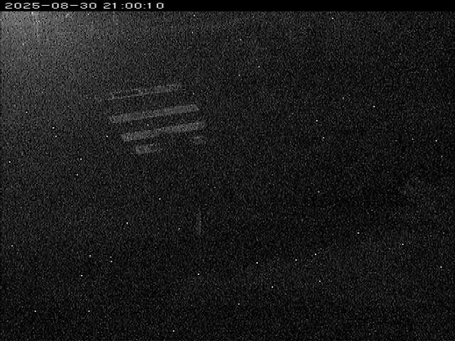 大路川１2025/08/31 9:00:00