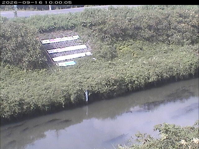 大路川１2026/09/16 16:40:00
