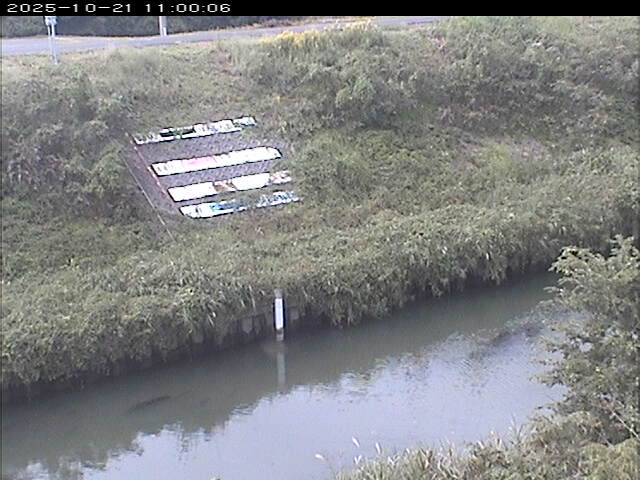 大路川１2025/10/22 11:20:00