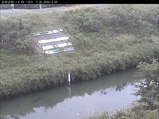 大路川１2025/10/22 11:20:00
