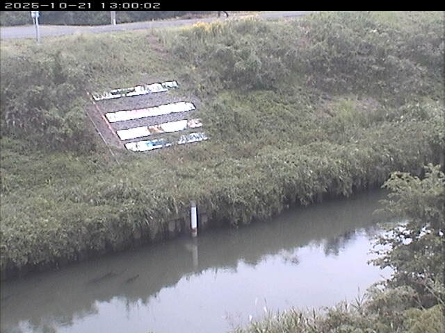 大路川１2025/10/22 11:20:00
