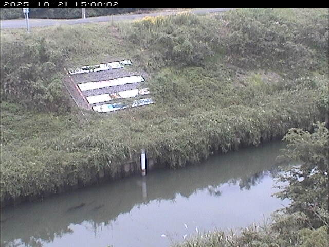 大路川１2025/10/22 11:20:00