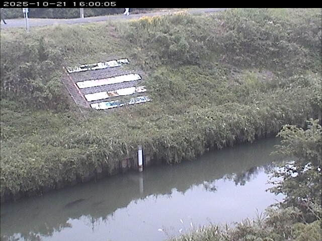大路川１2025/10/22 11:20:00