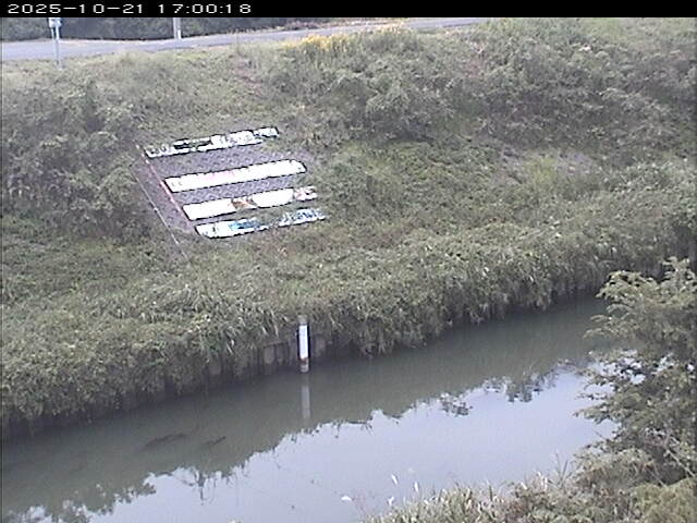 大路川１2025/10/22 11:20:00