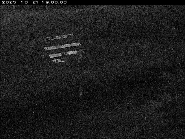 大路川１2025/10/22 11:20:00