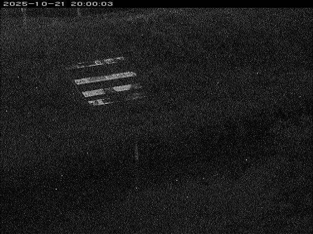 大路川１2025/10/22 11:20:00