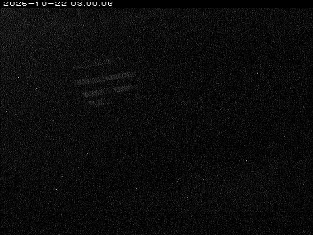 大路川１2025/10/22 11:20:00