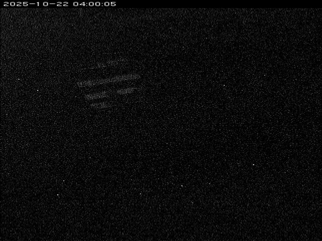 大路川１2025/10/22 11:20:00