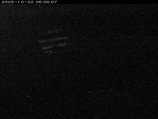 大路川１2025/10/22 11:20:00