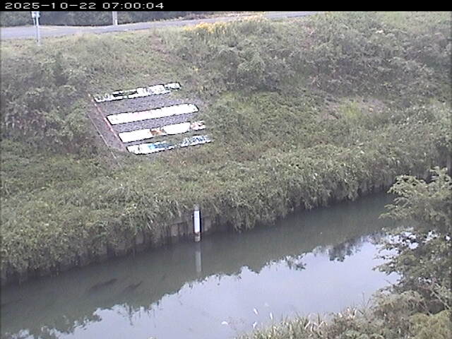 大路川１2025/10/22 11:20:00