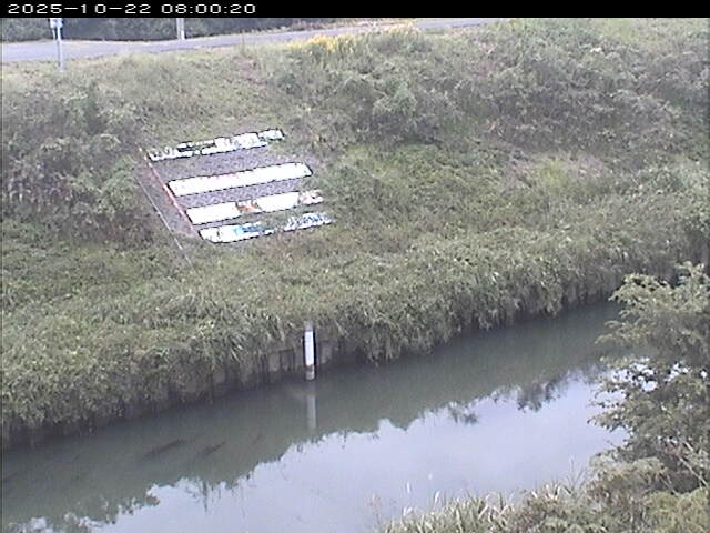大路川１2025/10/22 11:20:00
