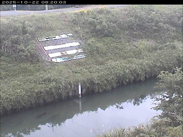 大路川１2025/10/22 11:20:00