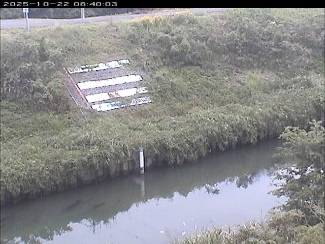 大路川１2025/10/22 11:20:00