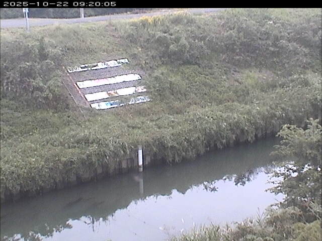 大路川１2025/10/22 11:20:00