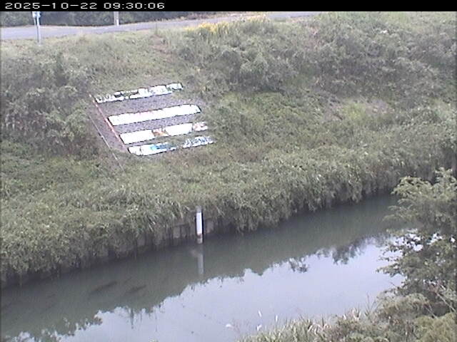 大路川１2025/10/22 11:20:00