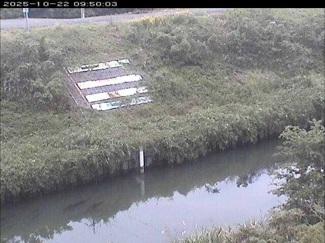 大路川１2025/10/22 11:20:00