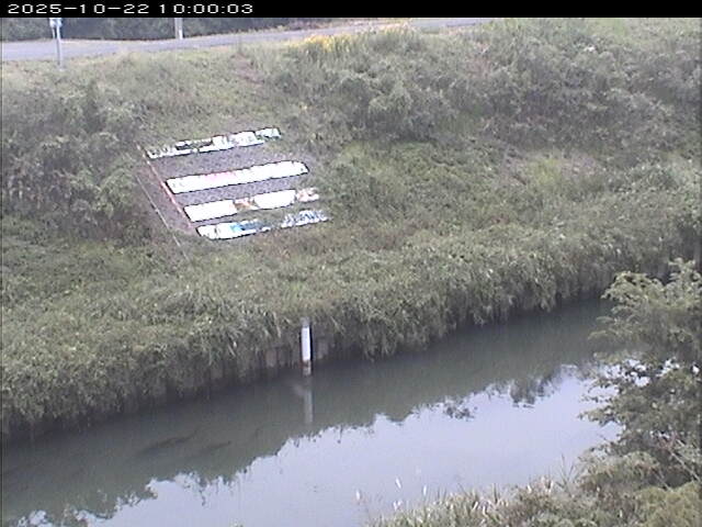 大路川１2025/10/22 11:20:00
