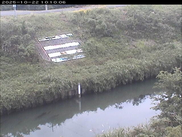 大路川１2025/10/22 11:20:00