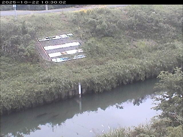 大路川１2025/10/22 11:20:00