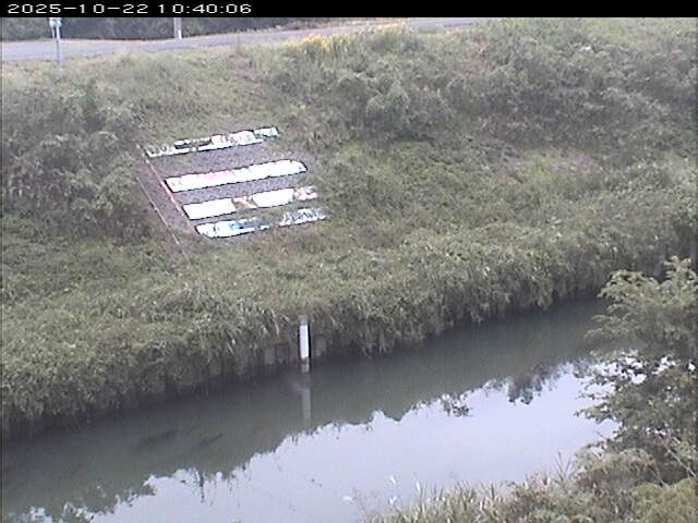 大路川１2025/10/22 11:20:00