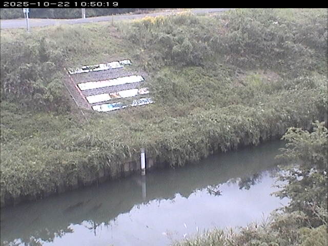 大路川１2025/10/22 11:20:00