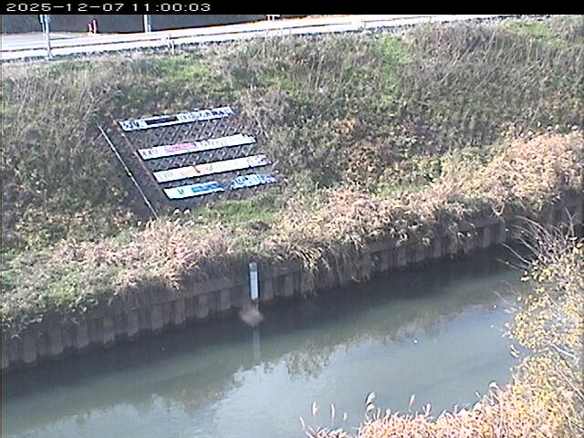 大路川１2025/12/08 11:30:00