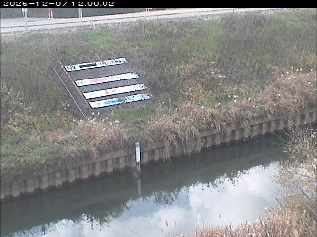 大路川１2025/12/08 11:30:00