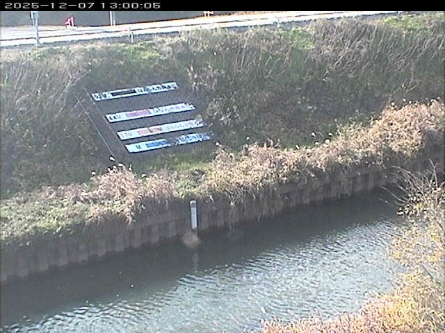 大路川１2025/12/08 11:30:00