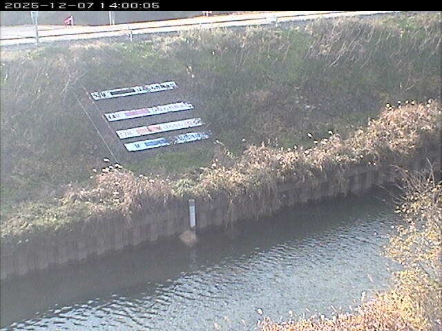 大路川１2025/12/08 11:30:00