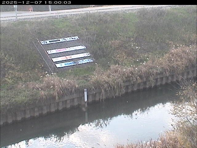 大路川１2025/12/08 11:30:00