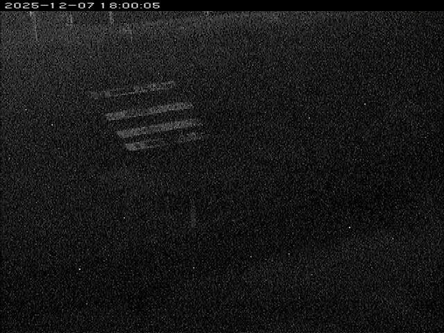 大路川１2025/12/08 11:30:00