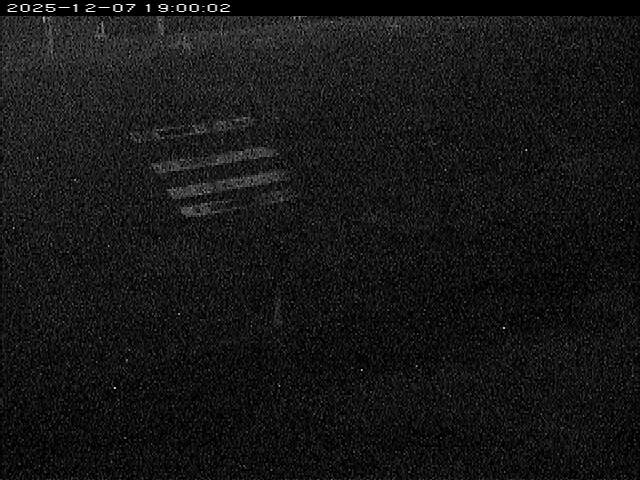 大路川１2025/12/08 11:30:00