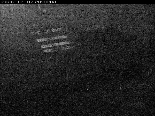 大路川１2025/12/08 11:30:00