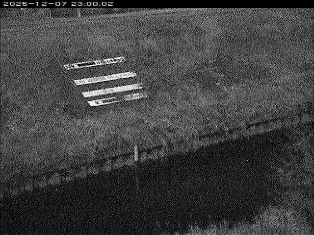 大路川１2025/12/08 11:30:00