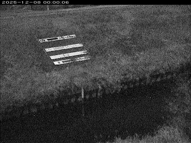 大路川１2025/12/08 11:30:00