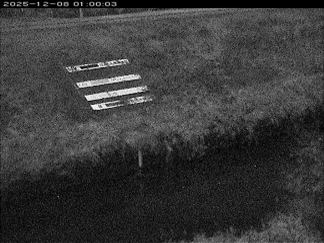 大路川１2025/12/08 11:30:00