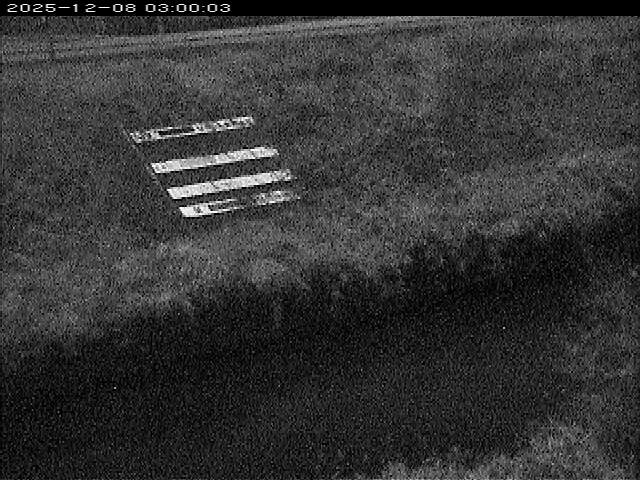 大路川１2025/12/08 11:30:00