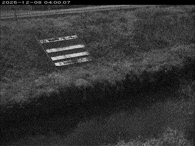 大路川１2025/12/08 11:30:00